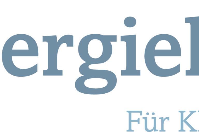 energielenker Gruppe