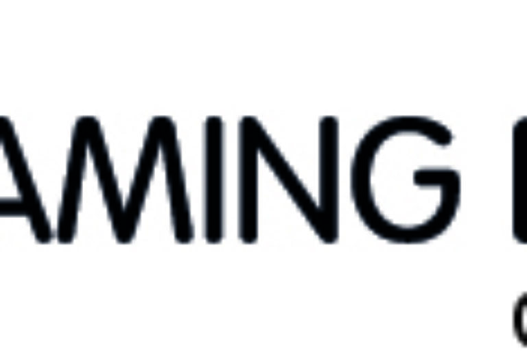 STREAMING FACTORY GmbH & Co. KG