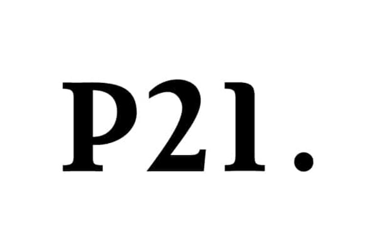 P21 GmbH